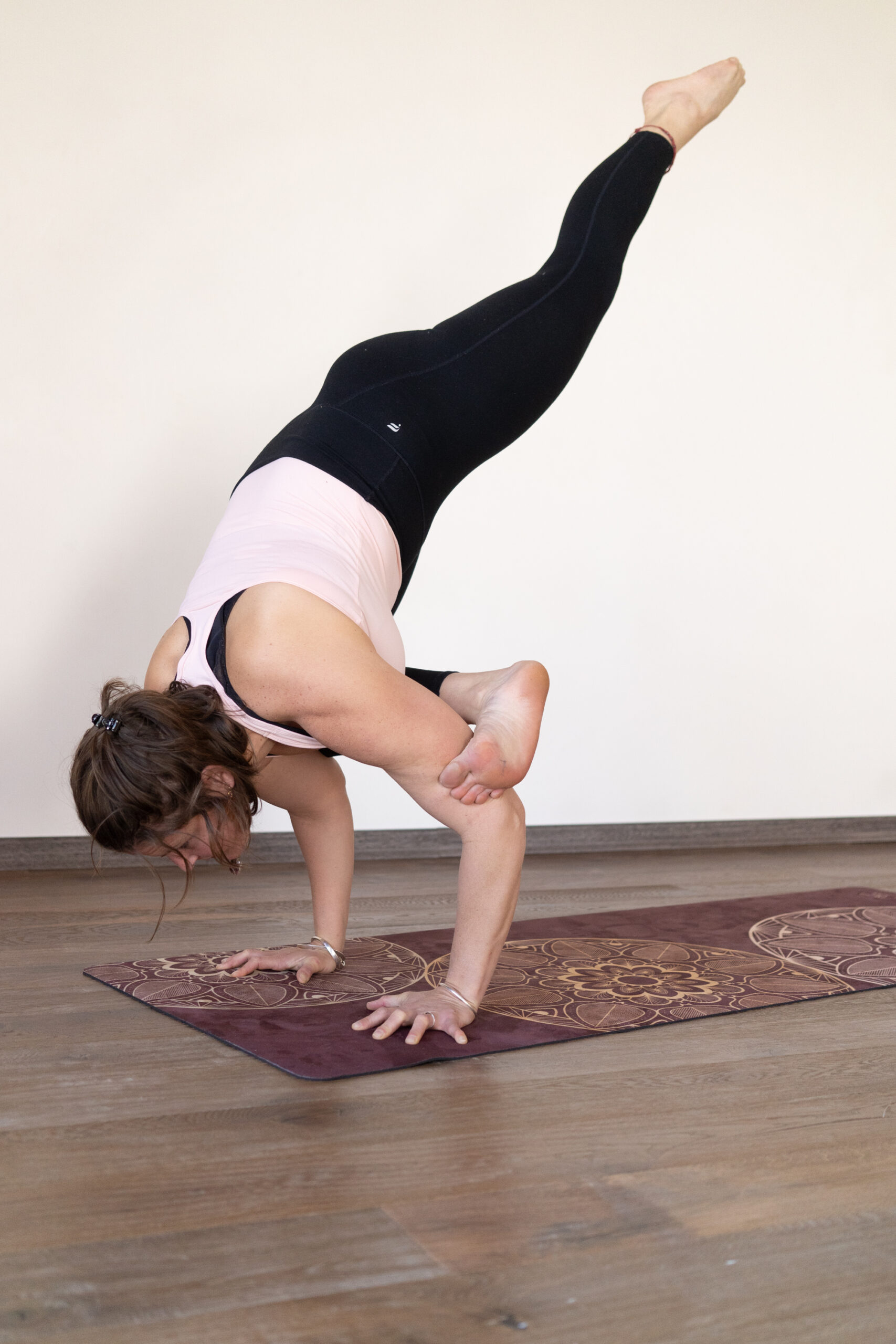 handstand grenoble, cours de handstand grenoble, atelier handstand, atelier inversion, atr grenoble, cours poirrier grenoble